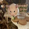 hamsterroshi