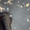 anonym20560