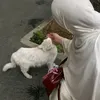 meriem.mimi1472