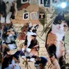 ana.e.flopinho928