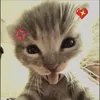 aminka3678