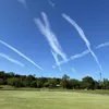 mr511391