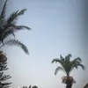 ilany063