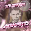 stem.agapito