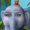 jiafeis.mascara