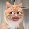 marukomeaww