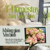 homestayhaunghia9