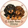 LittlePawsHome🐶