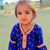 shahnawazshahnawz63