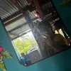 lincyrodriguez29
