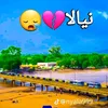 برتا تلي