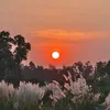 امی جان🫀