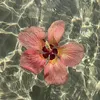 ciao_a_tutti2745