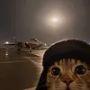 the1stflyingcat