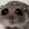 hamster_things6