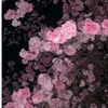 al_mira218