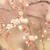 xinchao.09