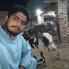 yasirgangster30