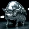 big_pig17