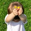flowers0000.2