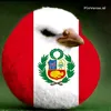 peru sennis tex