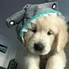 _timlaiquakhu_04