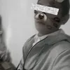 njdvybdyzbsdn