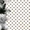 ikisya5