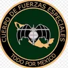 chukis281