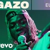 gazobsb814