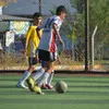 xarel_2011