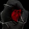 ajashidarkromance