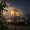 gaza85221