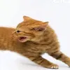 hoanggchauu00