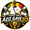 azizgaye39