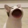 ggtithx