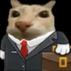 newsreportkitty