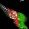 user1997158450711