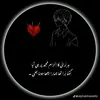 alisbaansari295