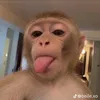 chanhhh_h