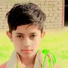 bilawalhassan9015