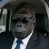 የሳቅ ቤት