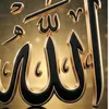user3274816622216