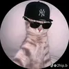 frankiie247