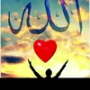 shahbnaz2
