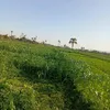 m.najran8