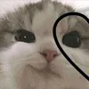 gaela_639