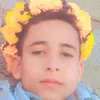 user526137211