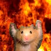 hamwithchizi