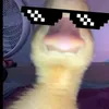 dan123676